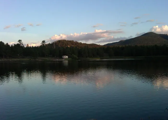Book Fall Vacations Now! Raccoon Ranch